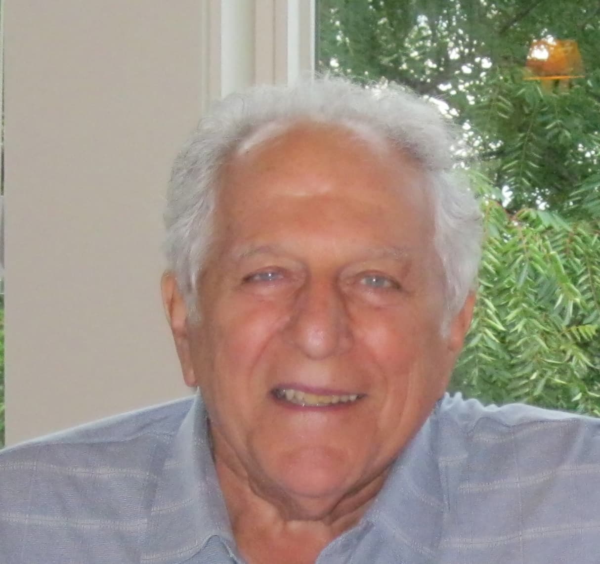 Anthony F. D'Orazio obituary photo