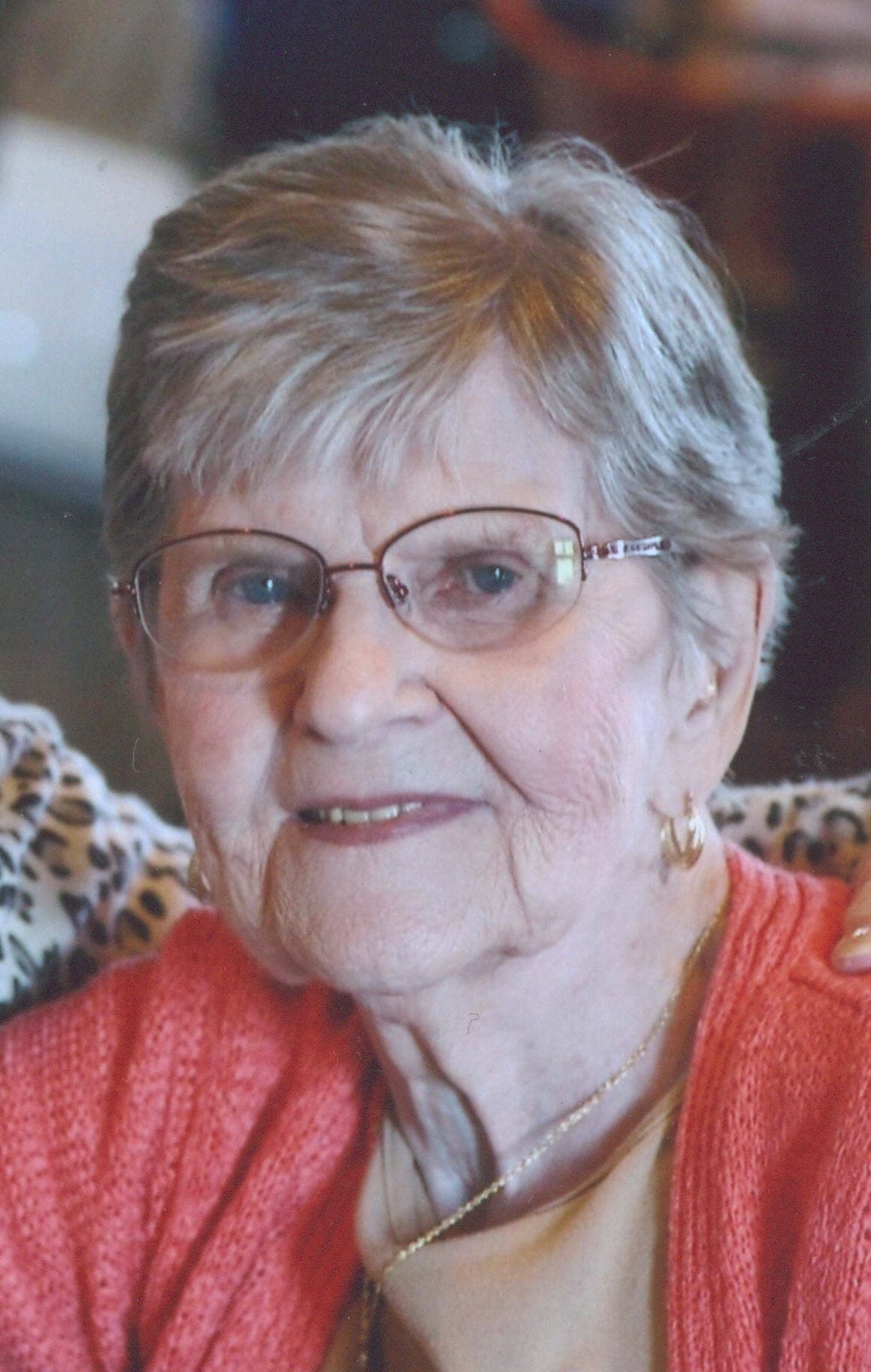 Dawn E VanderLuitgaren obituary photo