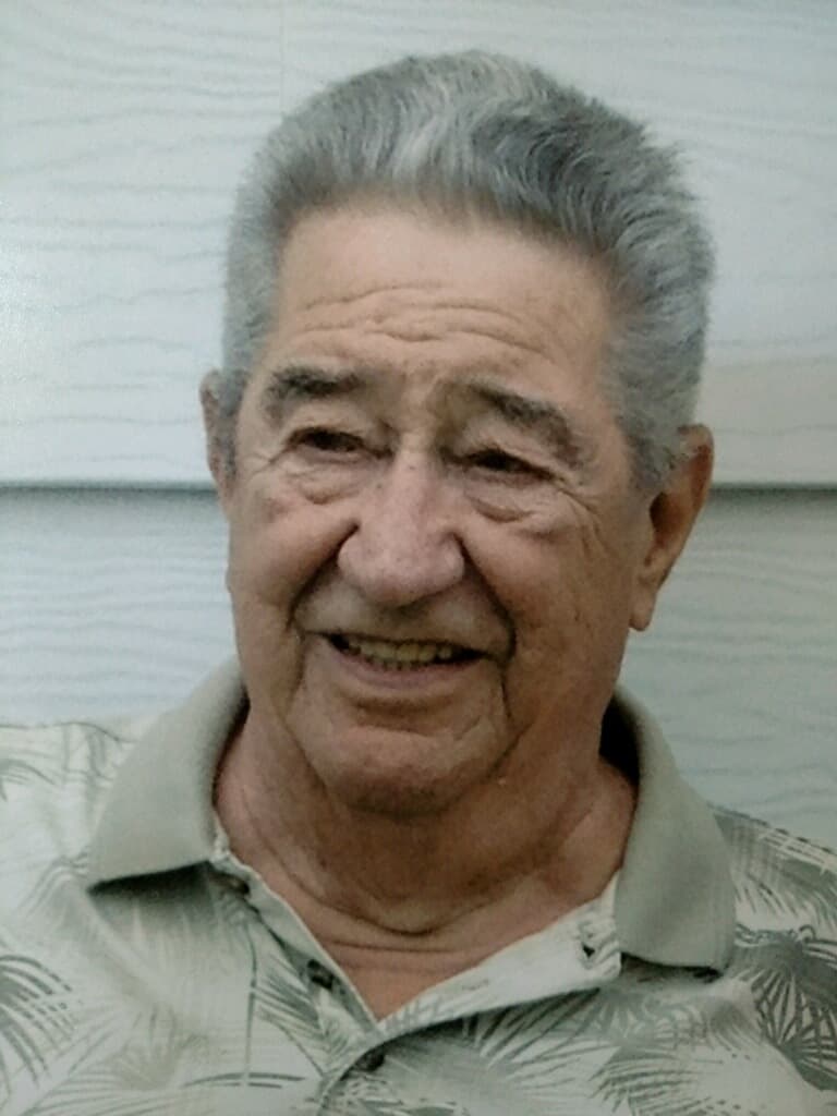 Richard A. Panega obituary photo