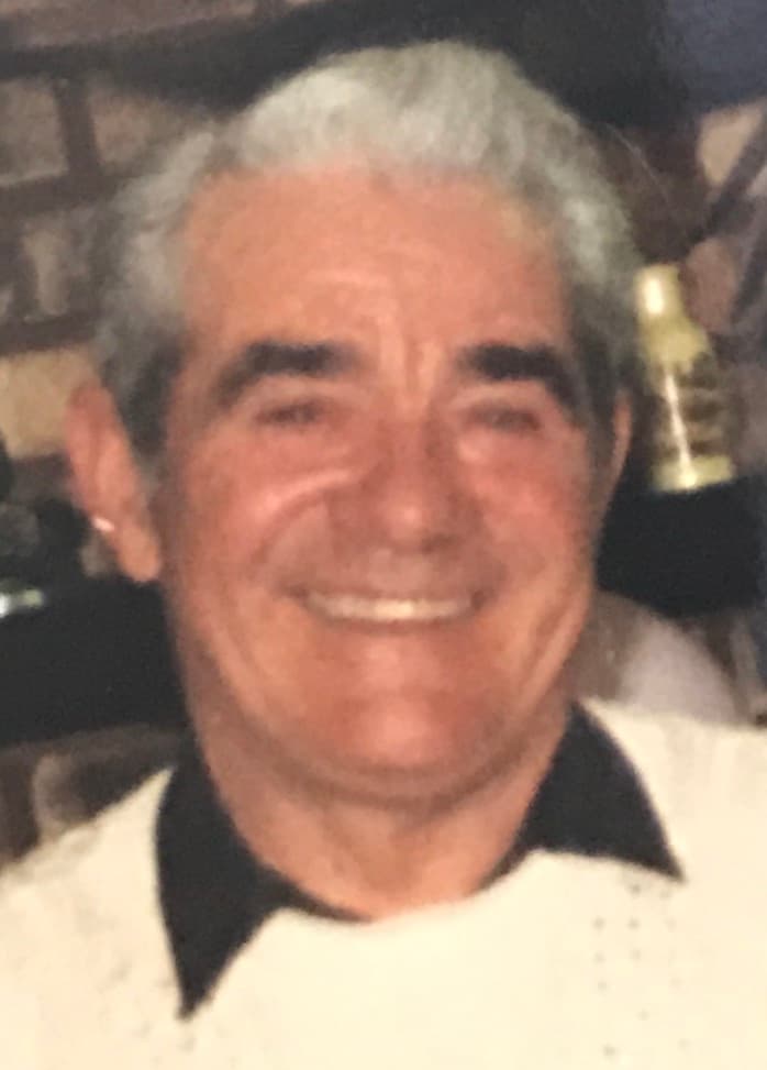 Lino Gregori obituary photo