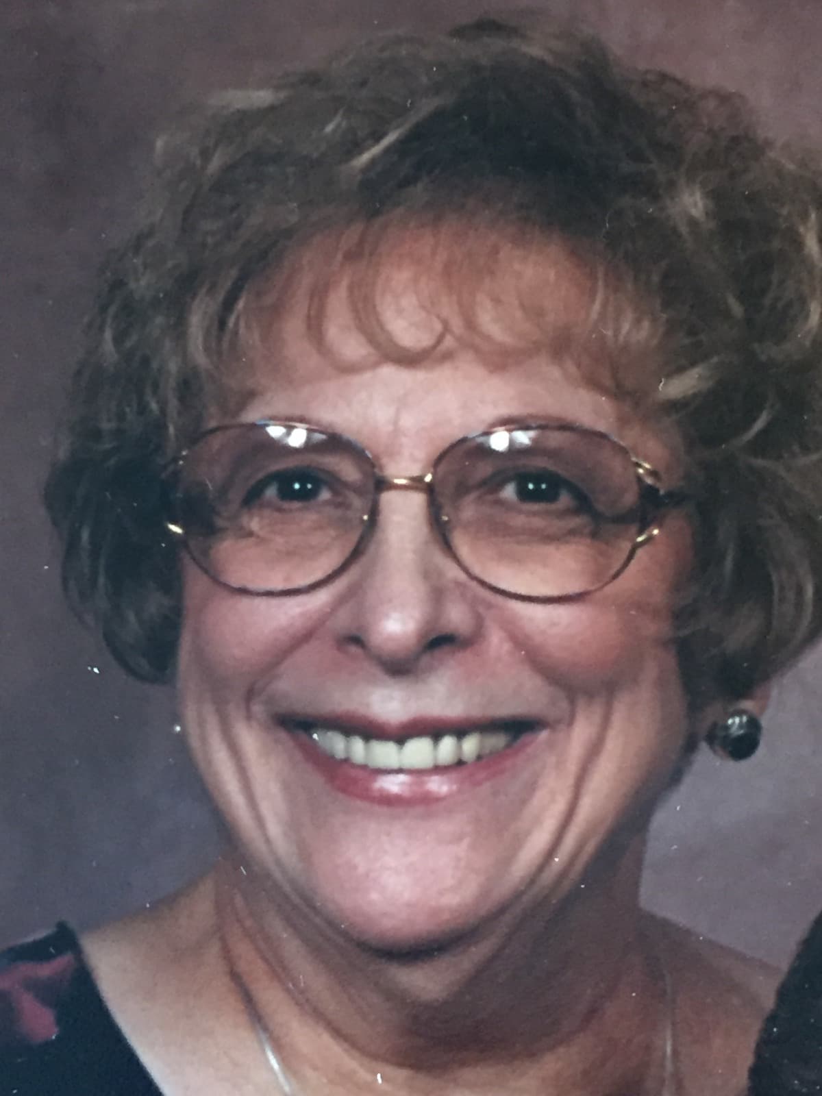 Virginia J. Perlotto obituary photo