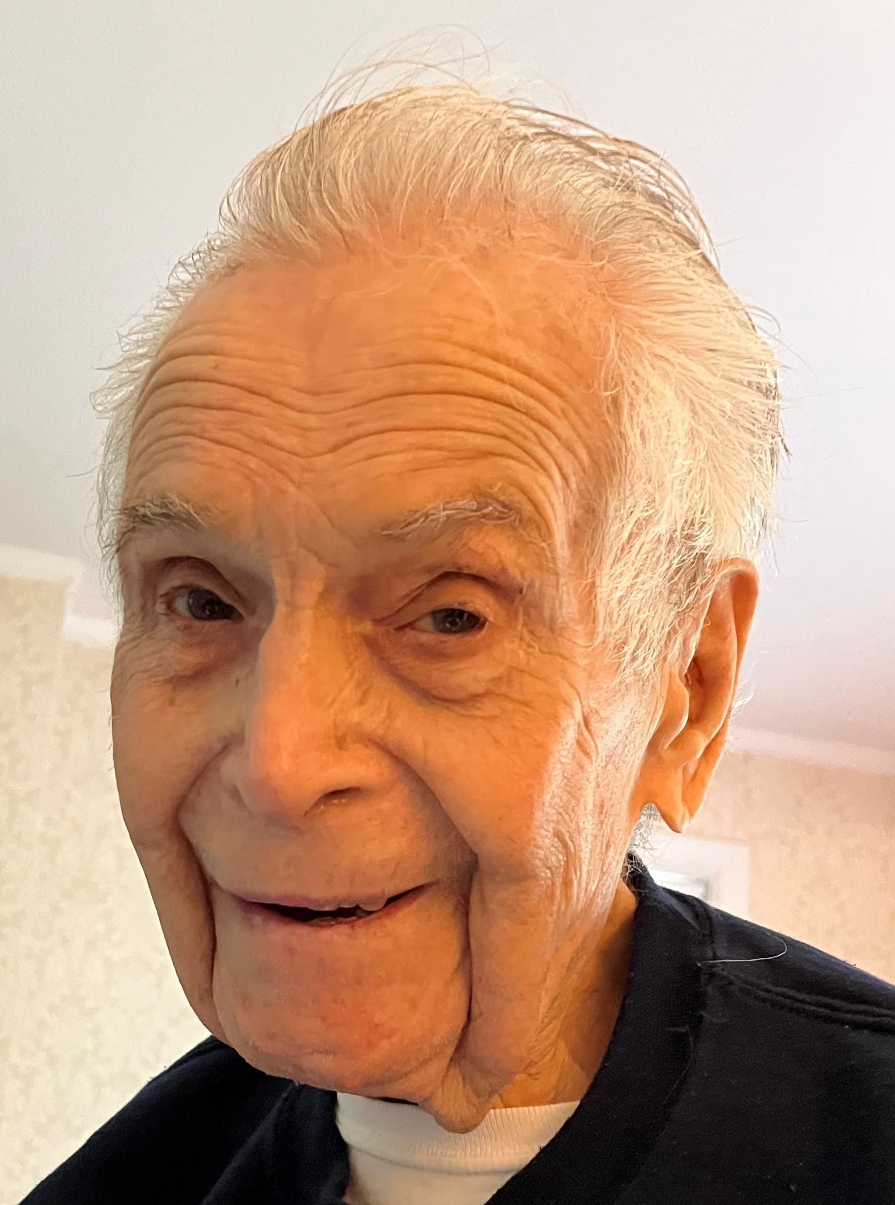 Romeo S. Formentini, Jr. obituary photo