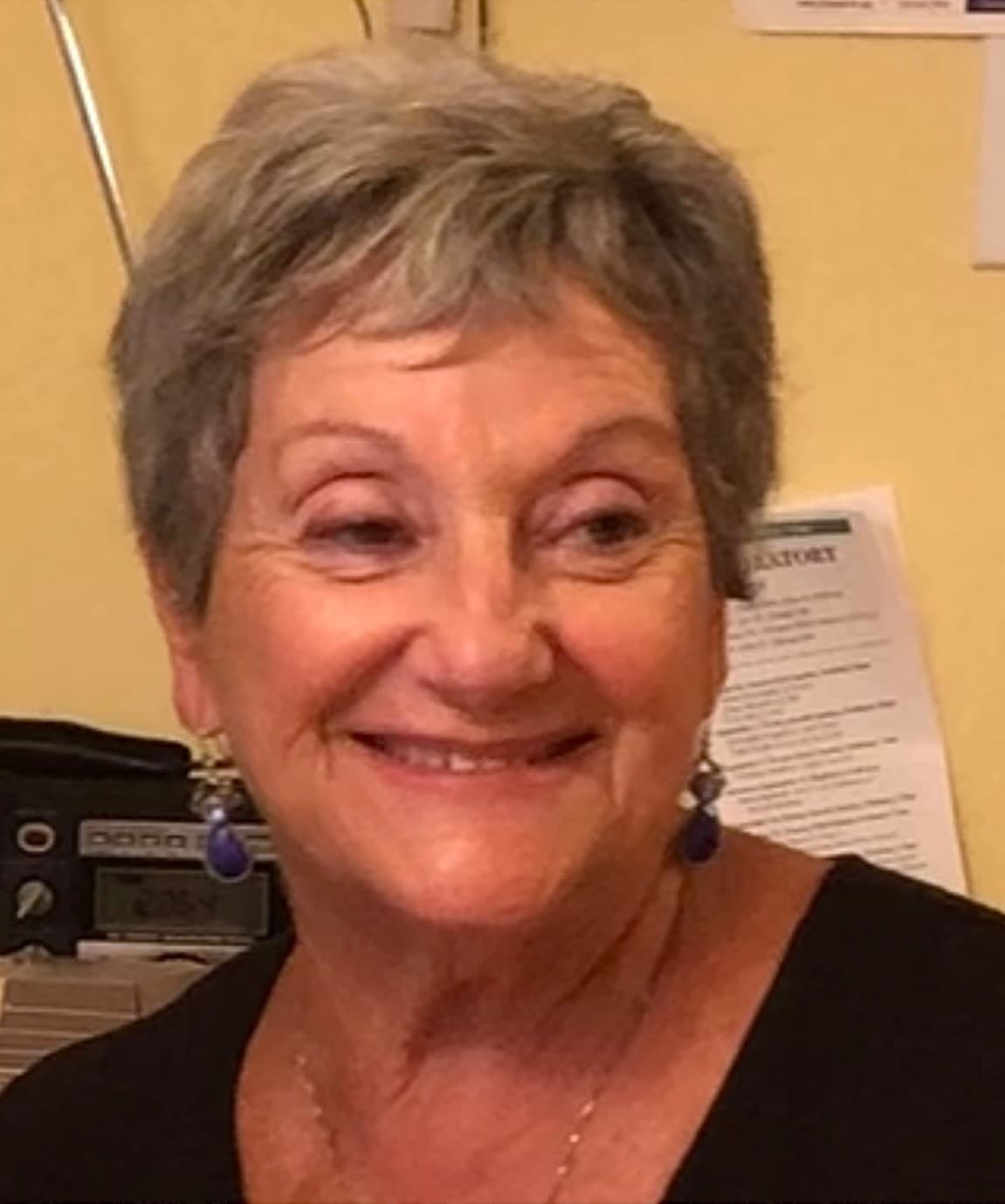 Sandra M. Ziccardi obituary photo
